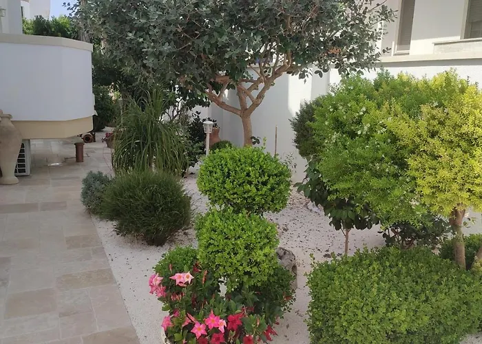 Sofia Guest house 3*